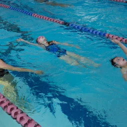Group Swim Lessons virginia