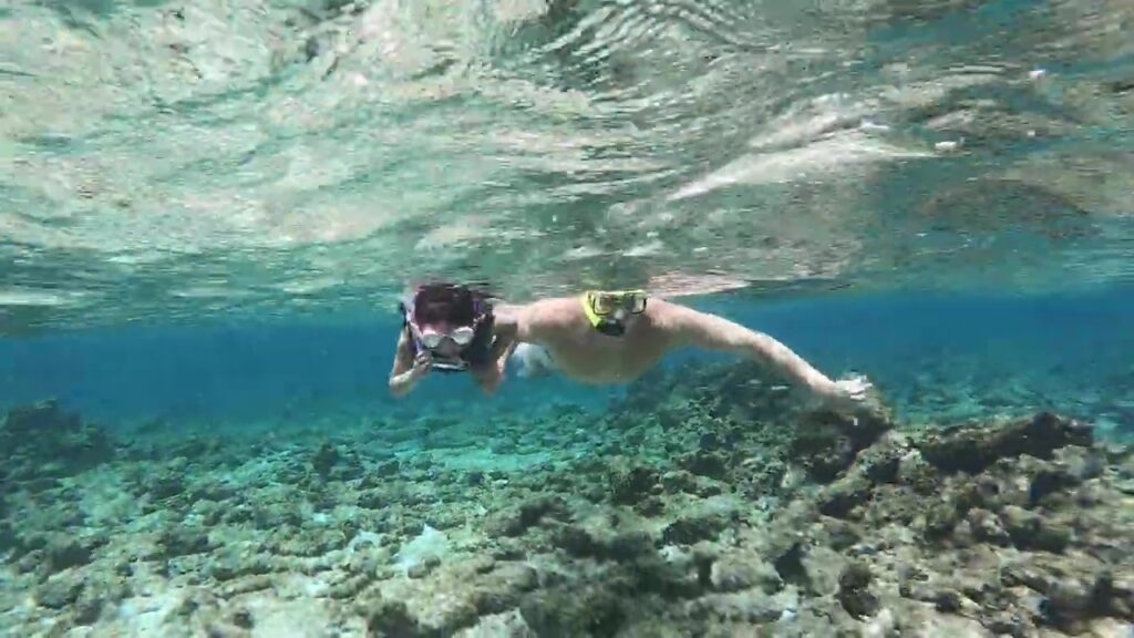 Swimming Lessons and Adventures for Summer